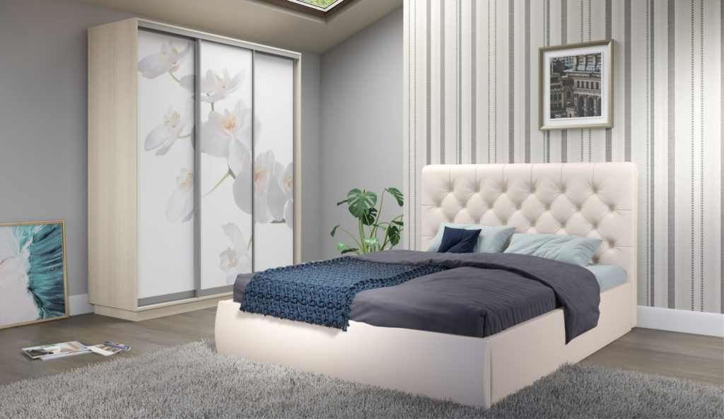 package245_color22113_10